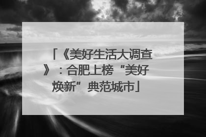 《美好生活大调查》：合肥上榜“美好焕新”典范城市