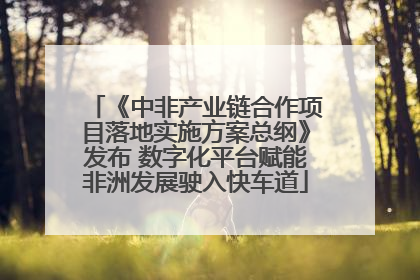 《中非产业链合作项目落地实施方案总纲》发布 数字化平台赋能非洲发展驶入快车道