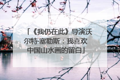 《我仍在此》导演沃尔特·塞勒斯：我喜欢中国山水画的留白