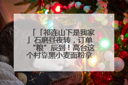 「祁连山下是我家」石磨昼夜转，订单“粮”辰到！高台这个村靠黑小麦面粉拿下成立来最大订单