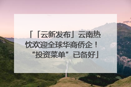 「云新发布」云南热忱欢迎全球华商侨企！“投资菜单”已备好