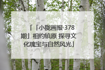 「小陇画报·378期」相约镇原 探寻文化瑰宝与自然风光