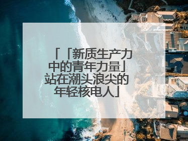 「新质生产力中的青年力量」站在潮头浪尖的年轻核电人