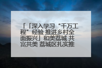 「深入学习“千万工程”经验 推进乡村全面振兴」和美荔城 共富共美 荔城区扎实推进乡村振兴工作