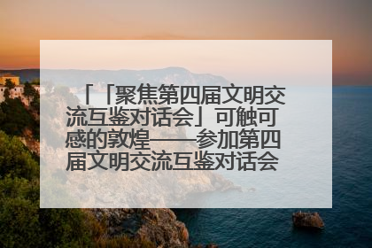 「聚焦第四届文明交流互鉴对话会」可触可感的敦煌——参加第四届文明交流互鉴对话会的外宾参观上元市集