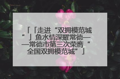 「走进“双拥模范城”」鱼水情深耀常德——常德市第三次荣膺“全国双拥模范城”