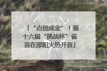 “点创成金”！第十六届“挑战杯”省赛在邵阳火热开赛