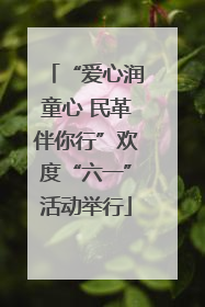 “爱心润童心 民革伴你行”欢度“六一”活动举行