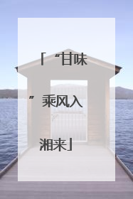 “甘味”乘风入湘来