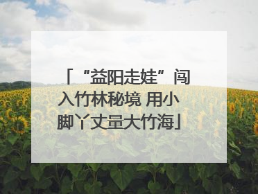 “益阳走娃”闯入竹林秘境 用小脚丫丈量大竹海
