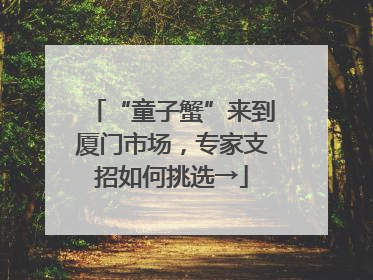 “童子蟹”来到厦门市场，专家支招如何挑选→