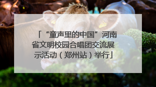 “童声里的中国”河南省文明校园合唱团交流展示活动（郑州站）举行