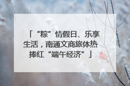 “粽”情假日、乐享生活，南通文商旅体热捧红“端午经济”