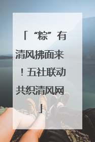 “粽”有清风拂面来！五社联动共织清风网