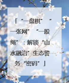 “一盘棋”“一张网”“一股绳”：解锁“山水融治”生态警务“密码”