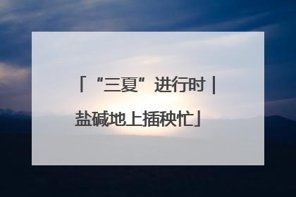 “三夏”进行时｜盐碱地上插秧忙