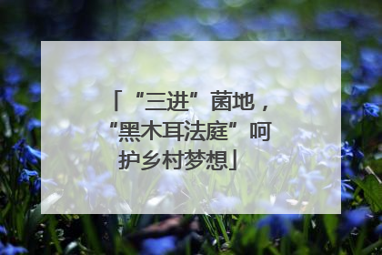 “三进”菌地，“黑木耳法庭”呵护乡村梦想