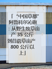 “中国草都” 阿鲁科尔沁旗：从野生牧草亩产 35 公斤到苜蓿草亩产 800 公斤以上