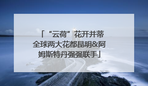 “云荷”花开并蒂 全球两大花都昆明&阿姆斯特丹强强联手