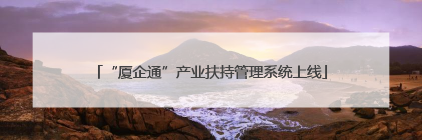 “厦企通”产业扶持管理系统上线