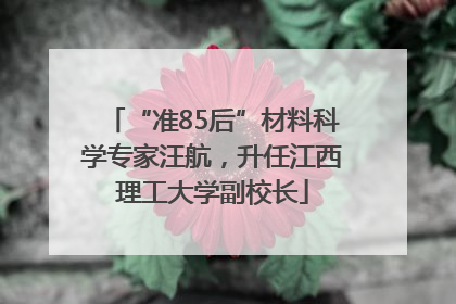 “准85后”材料科学专家汪航，升任江西理工大学副校长