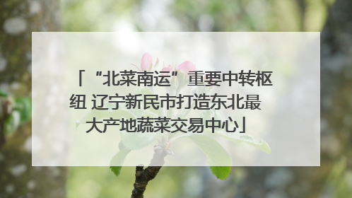 “北菜南运”重要中转枢纽 辽宁新民市打造东北最大产地蔬菜交易中心