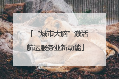 “城市大脑”激活航运服务业新动能