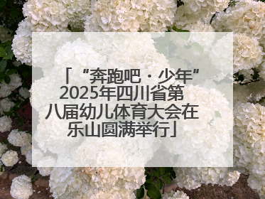 “奔跑吧・少年”2025年四川省第八届幼儿体育大会在乐山圆满举行