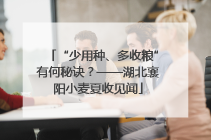 “少用种、多收粮”有何秘诀？——湖北襄阳小麦夏收见闻