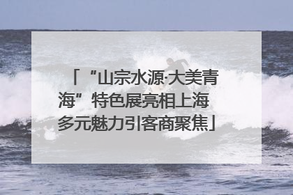 “山宗水源·大美青海”特色展亮相上海 多元魅力引客商聚焦