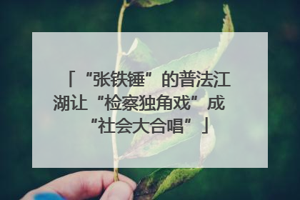 “张铁锤”的普法江湖让“检察独角戏”成“社会大合唱”
