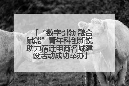 “数字引领 融合赋能”青年科创新锐助力宿迁电商名城建设活动成功举办
