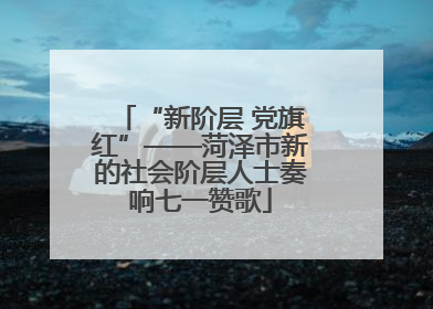 “新阶层 党旗红”——菏泽市新的社会阶层人士奏响七一赞歌