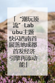 “潮玩顶流”Labubu主题快闪西南首展落地成都 首发经济引擎再添动能
