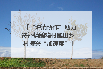 “沪滇协作”助力待补镇鹧鸡村跑出乡村振兴“加速度”