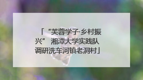 “芙蓉学子·乡村振兴” 湘潭大学实践队调研洗车河镇老洞村