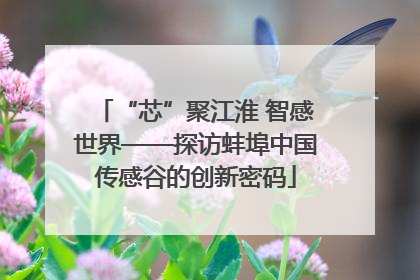 “芯”聚江淮 智感世界——探访蚌埠中国传感谷的创新密码