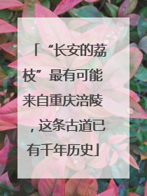 “长安的荔枝”最有可能来自重庆涪陵，这条古道已有千年历史