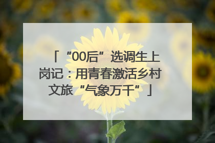 “00后”选调生上岗记：用青春激活乡村文旅“气象万千”