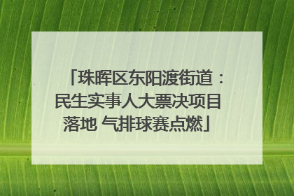 珠晖区东阳渡街道：民生实事人大票决项目落地 气排球赛点燃