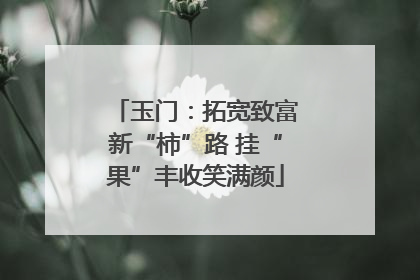 玉门：拓宽致富新“柿”路 挂“果”丰收笑满颜