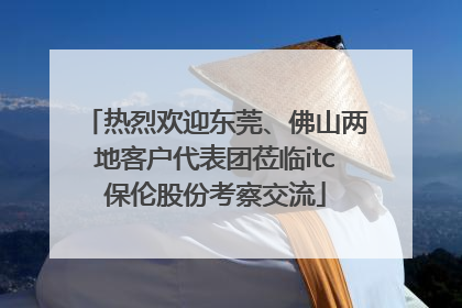 热烈欢迎东莞、佛山两地客户代表团莅临itc保伦股份考察交流