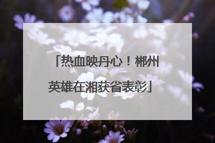 热血映丹心！郴州英雄在湘获省表彰
