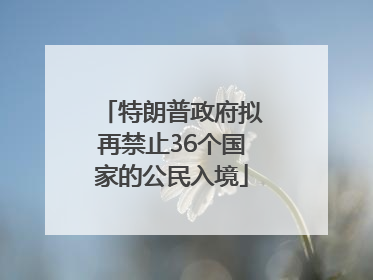 特朗普政府拟再禁止36个国家的公民入境