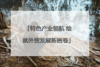 特色产业领航 绘就外贸发展新画卷