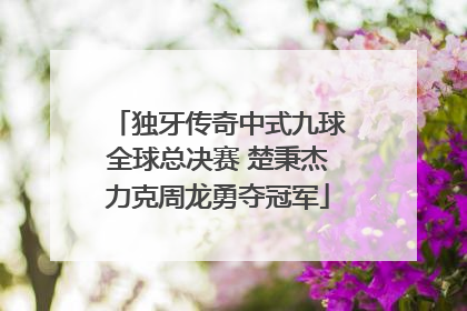 独牙传奇中式九球全球总决赛 楚秉杰力克周龙勇夺冠军