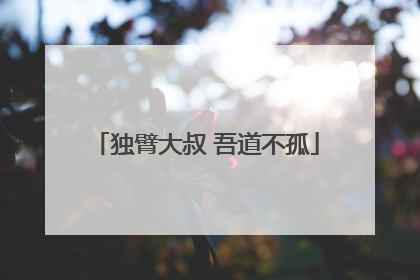 独臂大叔 吾道不孤