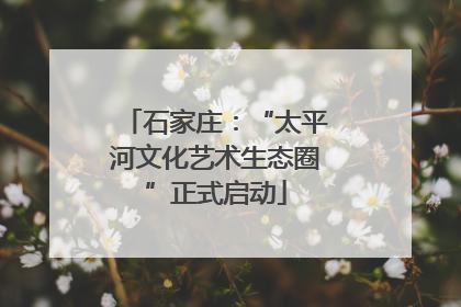 石家庄：“太平河文化艺术生态圈”正式启动