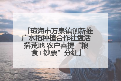 琼海市万泉镇创新推广水稻种植合作社盘活撂荒地 农户喜提“粮食+钞票”分红
