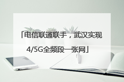 电信联通联手，武汉实现4/5G全频段一张网